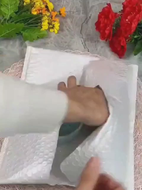 Brazilian Lucky Wood, Mini Home Plant Decorations